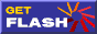 Get the Flash Player for FREE!